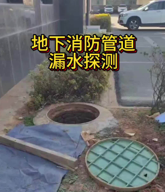 上門查漏水 vs 自行檢測：2026年成本與效果對比分析
